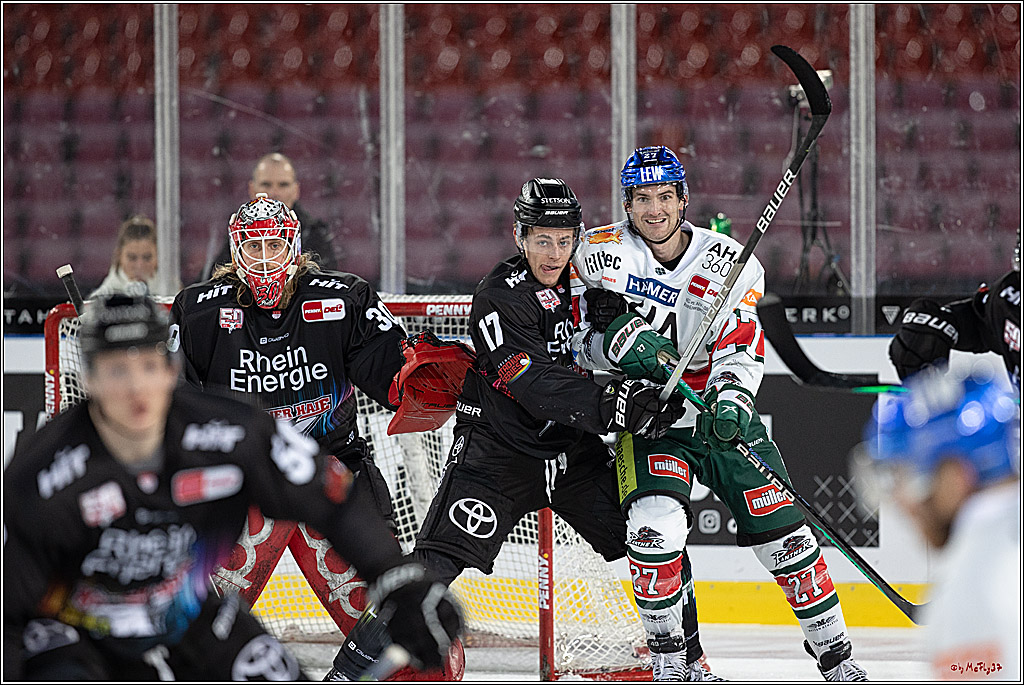 PENNY DEL;  Koelner Haie - Augsburger Panther; Koeln, 08.01.2023